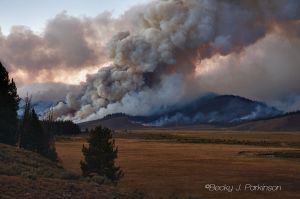 Halstead_fire_003.jpg