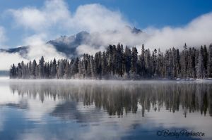 STNLY_FALL_023-31.jpg