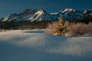 STNLY_JAN09_0011-1.jpg