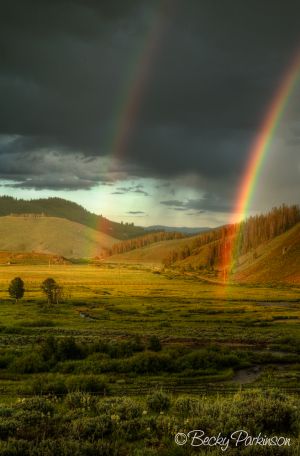 Stanley_rainbow_001.jpg