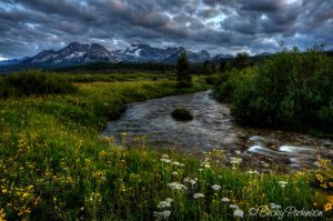 _DSC1278_6_9_7_tonemapped.jpg