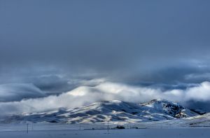 _DSC8324_2_3_tonemapped.jpg