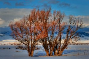 _DSC8542_tonemapped.jpg