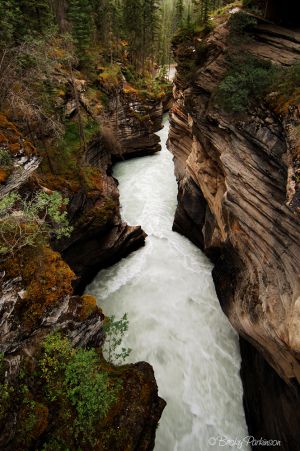 athabasca-river.jpg