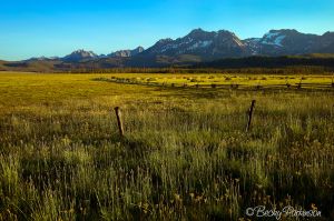 c84-sawtooth_views_001.jpg