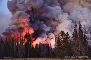 halstead_fire_005.jpg