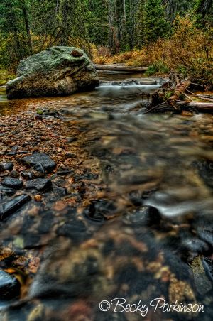 mountain_stream_001.jpg