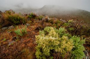 owyhee_desert_001.jpg