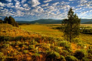 sawtooths_002.jpg