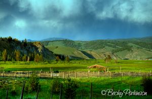stnly_corral_001.jpg