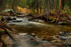 valley-creek_001.jpg