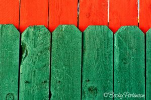 fence_001a.jpg