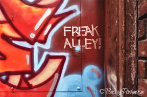 freak_alley_001.jpg