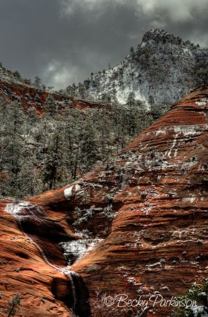 ZION_003.jpg
