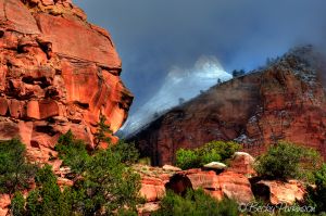 ZION_005.jpg