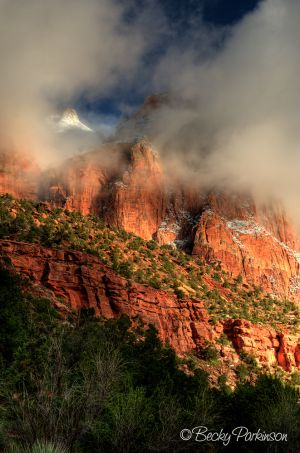 ZION_006.jpg
