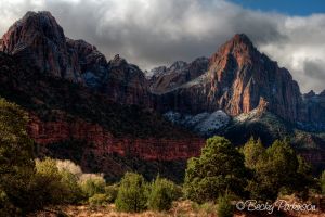 ZION_026.jpg