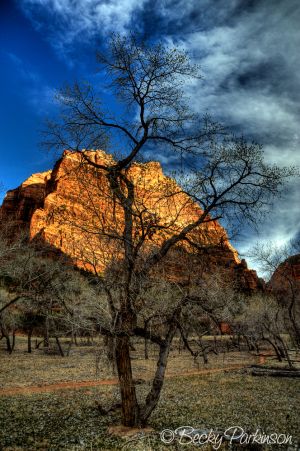 ZION_027.jpg
