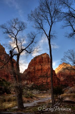 _DSC6619_20_21_tonemapped.jpg