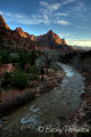 _DSC6701_700_698_699_tonemapped.jpg