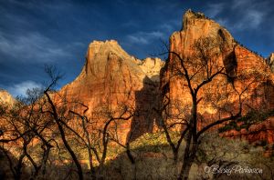 zion_028.jpg