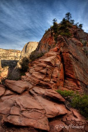 zion_034.jpg